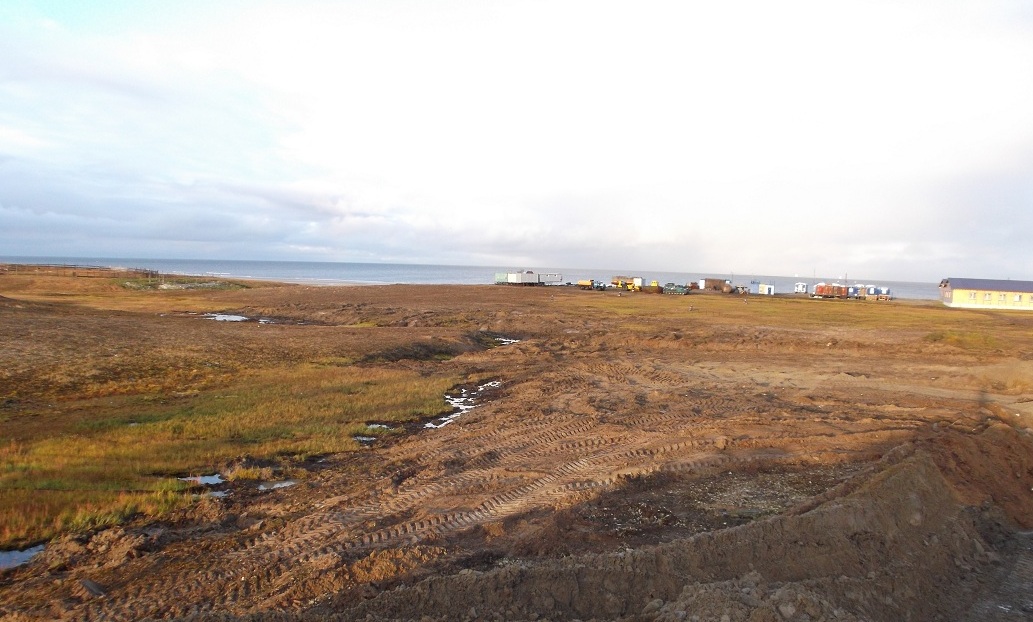 Более 20 гектаров берега Обской губы в районе фактории Тамбей приведены в порядок