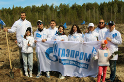 Работники компании приняли участие в акции по посадке леса