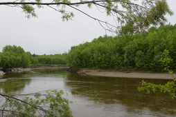 Река Поронай (Сахалинская область)