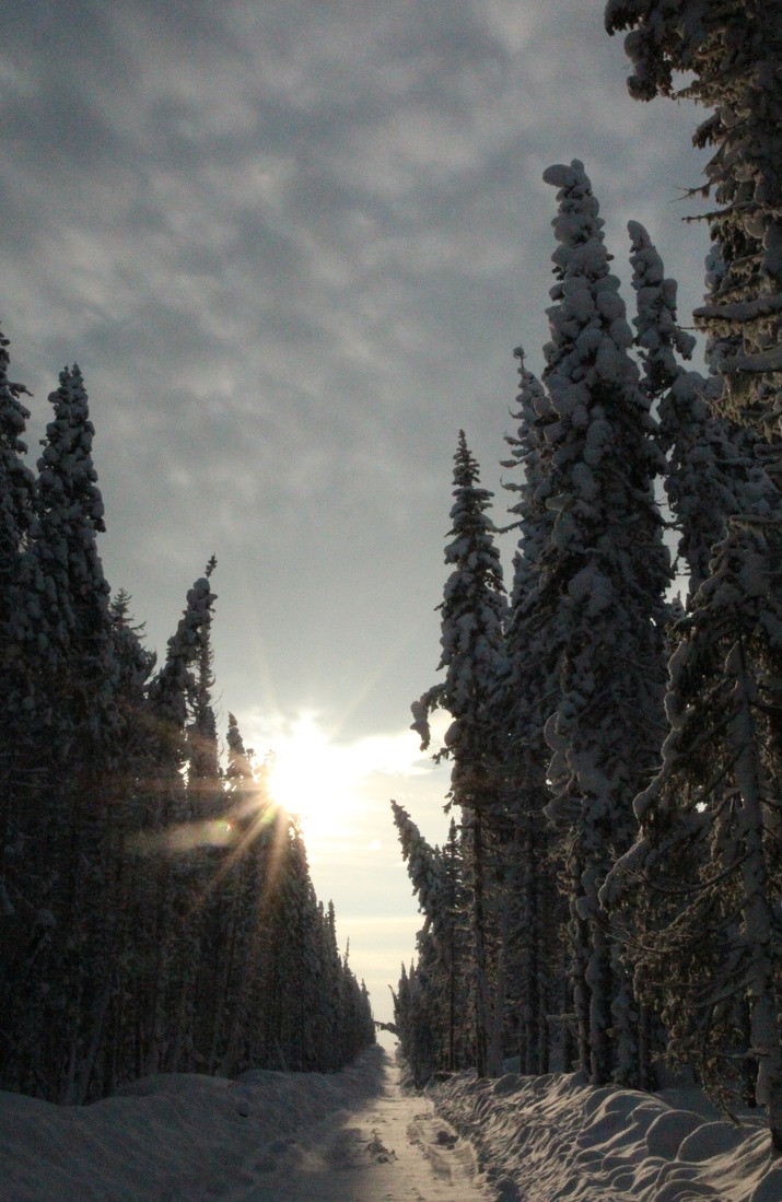 Более 280 километров зимников возвели в Восточной Сибири