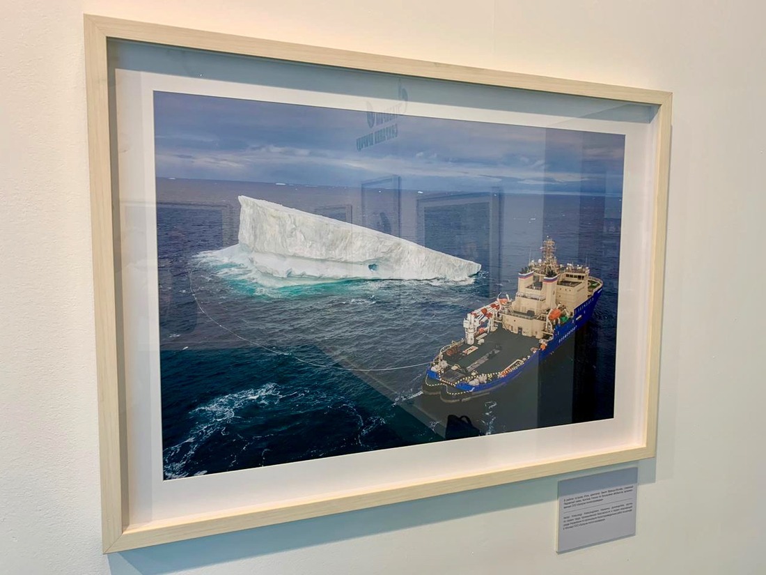 Фотоснимок из Арктики представлен на выставке