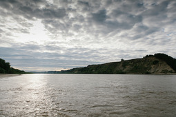 Около 90 тысяч молоди осетра выпущены в реку Иртыш